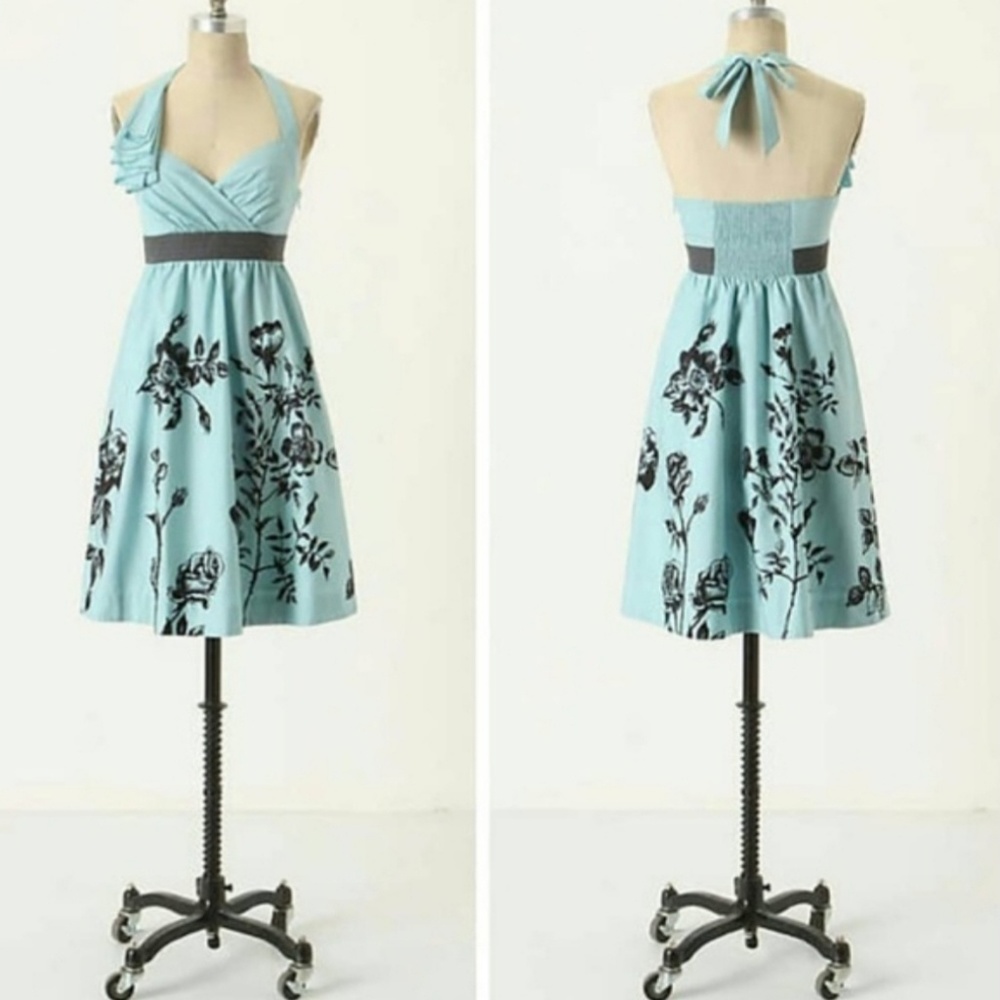 Anthropologie "Stemmed Sweetbriar" Dress